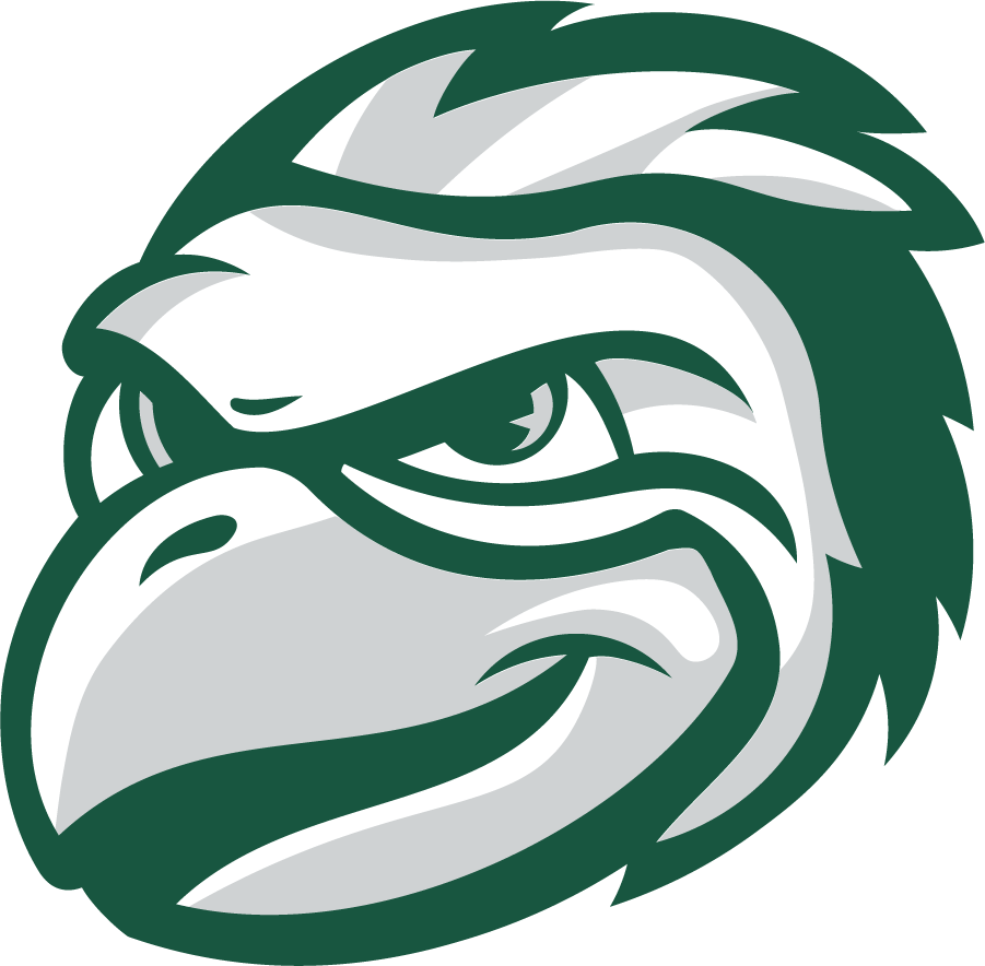 Wisconsin-Green Bay Phoenix 2020-Pres Mascot Logo v2 iron on transfers for T-shirts